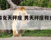 男天秤座和女天秤座 男天秤座和女天秤座配对指数