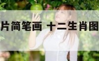 十二生肖图片简笔画 十二生肖图片简笔画涂色