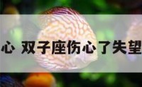 双子座很伤心 双子座伤心了失望了好挽回吗