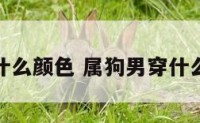 属狗男配什么颜色 属狗男穿什么颜色衣服
