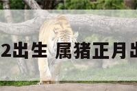 属猪正月22出生 属猪正月出生的男孩