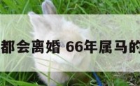 67年属马都会离婚 66年属马的会离婚吗