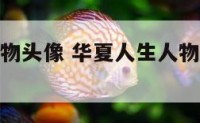 华夏人生人物头像 华夏人生人物头像图片大全