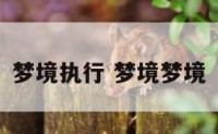 梦境执行 梦境梦境
