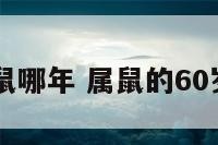 60岁属鼠哪年 属鼠的60岁什么命