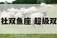 超能社双鱼座 超级双鱼座
