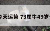 73属牛今天运势 73属牛49岁今日运势