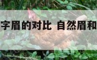 自然眉和一字眉的对比 自然眉和一字眉的对比图片