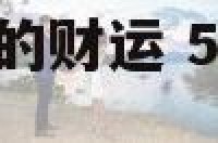 1959属猪今年的财运 59年属猪人今年的财运