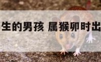 属猴卯时出生的男孩 属猴卯时出生男孩取名亦字怎么样