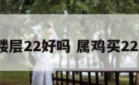 属鸡选楼层22好吗 属鸡买22层好吗?