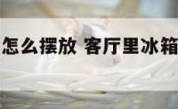 客厅的冰箱怎么摆放 客厅里冰箱摆哪个位置好