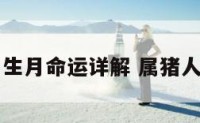属猪出生月命运详解 属猪人出生月