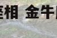 金牛座与什么星座相 金牛座和什么星座在一起