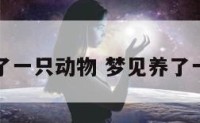 梦见养了一只动物 梦见养了一只宠物