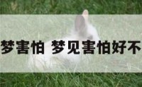解梦害怕 梦见害怕好不好