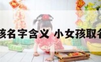 带瑜的女孩名字含义 小女孩取名带瑜字的