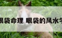眼袋命理 眼袋的风水学