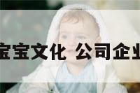 企业宝宝文化 公司企业宝典