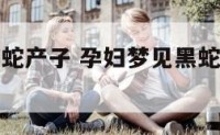 孕妇梦见黑蛇产子 孕妇梦见黑蛇产子什么意思