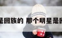 那个明星是回族的 那个明星是回族的姓氏