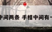 手相中间两条 手相中间有一条线