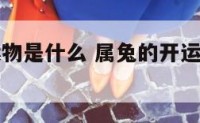 属兔的开运物是什么 属兔的开运物是什么属相