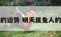 明天属兔人的运势 明天属兔人的运势和财运