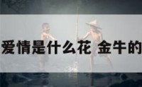 金牛座爱情是什么花 金牛的爱情观