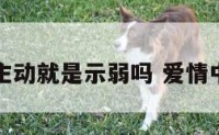 爱情主动就是示弱吗 爱情中主动