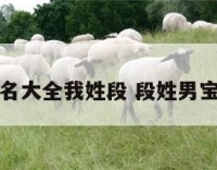 男孩儿起名大全我姓段 段姓男宝宝取名字