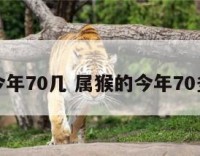 属猴的今年70几 属猴的今年70多大岁数