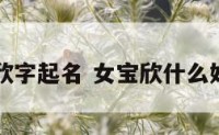 女宝宝欣字起名 女宝欣什么好听名字