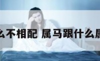 属马与什么不相配 属马跟什么属相不最配