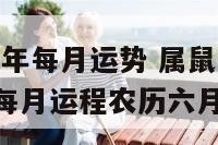 属鼠2019年每月运势 属鼠2019年运势及运程每月运程农历六月