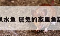 属兔风水鱼 属兔的家里鱼缸方位