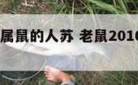 2016年属鼠的人苏 老鼠2016年的运势