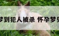 孕妇梦到犯人被杀 怀孕梦见犯人