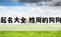 周姓生肖狗起名大全 姓周的狗狗怎么取名字