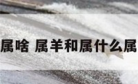 属羊与属啥 属羊和属什么属相最好