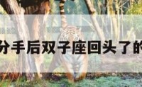 关于分手后双子座回头了的信息