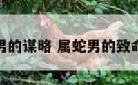 属蛇男的谋略 属蛇男的致命弱点