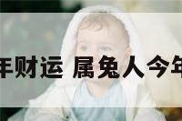 属兔人今年财运 属兔人今年财运好吗