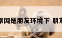 跳楼原因是朋友环境下 朋友坠楼