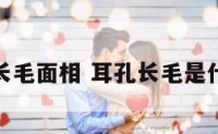 耳孔外长毛面相 耳孔长毛是什么意思