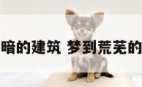梦见昏暗的建筑 梦到荒芜的建筑物