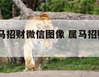 2020属马招财微信图像 属马招财微信头像 转运