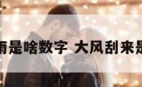 大风刮大雨是啥数字 大风刮来是什么意思