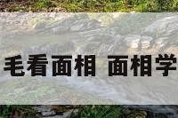 根据眉毛看面相 面相学看眉毛