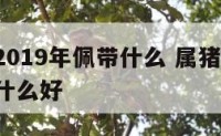 属猪的2019年佩带什么 属猪的2019年佩带什么好